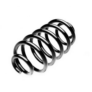 Пружина задняя