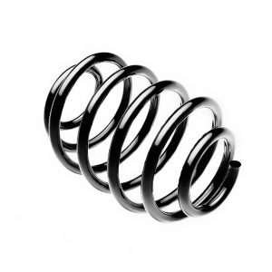 Пружина задняя