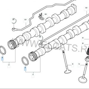Кольцо уплотнительное (двигатель)