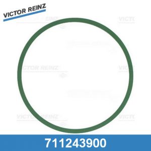 Прокладка впускного коллектора