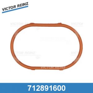 Прокладка впускного коллектора