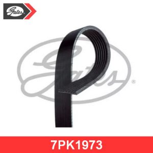 Ремень ручейковый