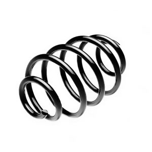 Пружина задняя