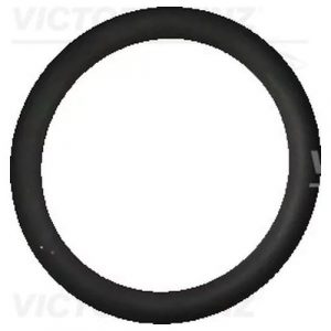 Кольцо уплотнительное (двигатель)