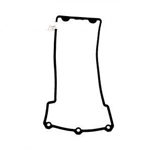 Прокладка клапанной крышки