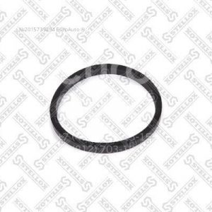 Кольцо уплотнительное (двигатель)