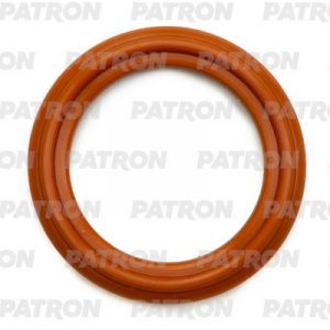 Кольцо уплотнительное (двигатель)