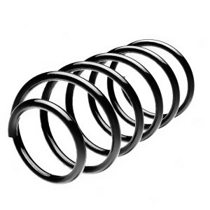 Пружина передняя