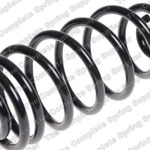 Пружина задняя