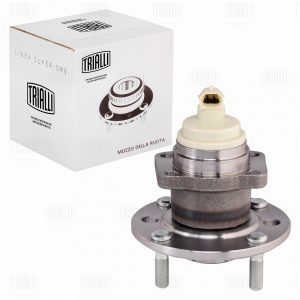 Ступица задняя