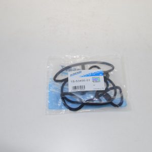 Набор прокладок клапанной крышки