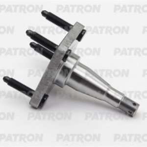 Цапфа (п.з.к.)