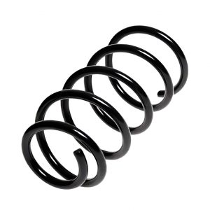 Пружина задняя