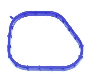 Прокладка термостата