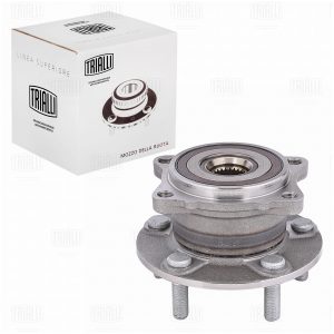 Ступица задняя