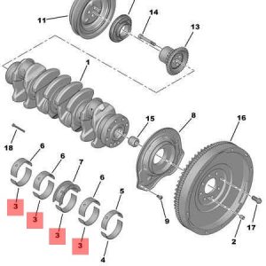 Вкладыши коренные
