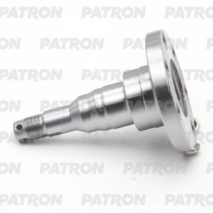 Цапфа (п.з.к.)