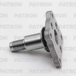 Цапфа (п.з.к.)