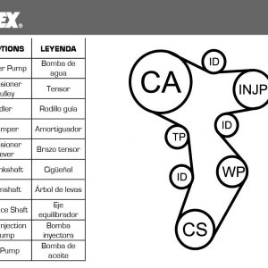 Насос водяной (помпа) + к-кт ремня ГРМ