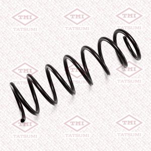 Пружина задняя