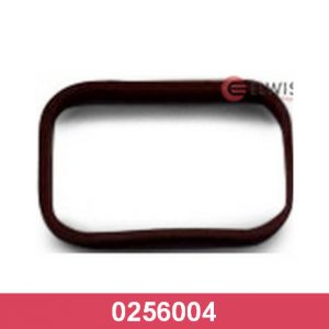 Прокладка впускного коллектора