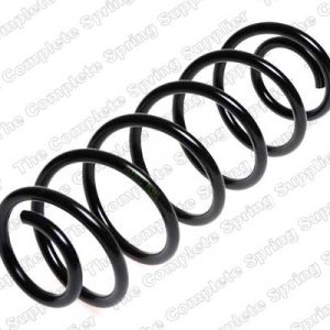 Пружина задняя