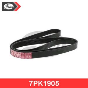 Ремень ручейковый