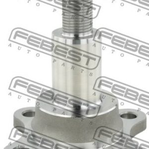 Цапфа (п.з.к.)