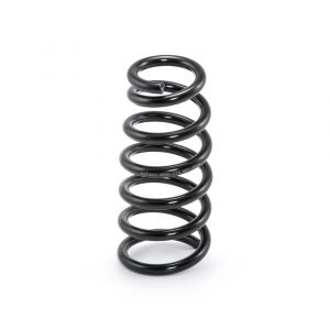 Пружина задняя