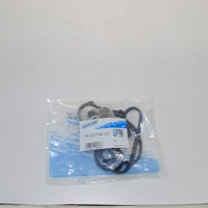 Набор прокладок клапанной крышки