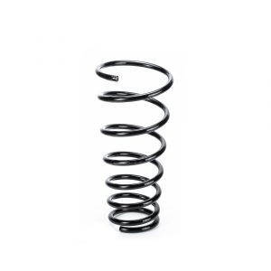 Пружина задняя