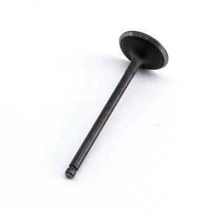 Клапан впускной