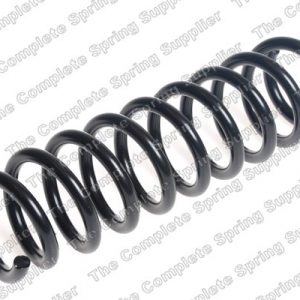 Пружина задняя