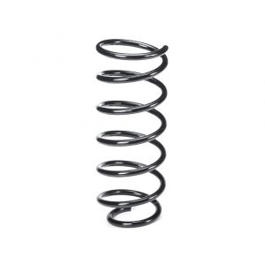 Пружина задняя