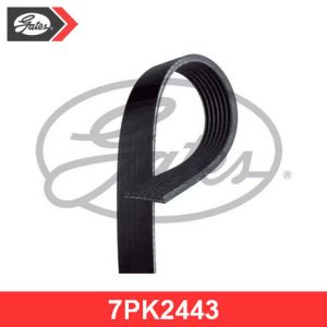 Ремень ручейковый