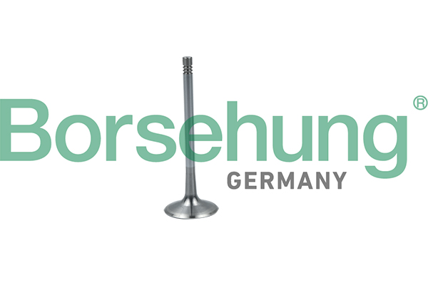 Клапан впускной