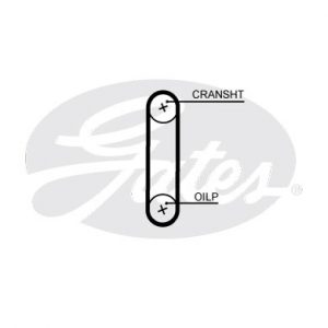 Ремень масляного насоса зубчатый