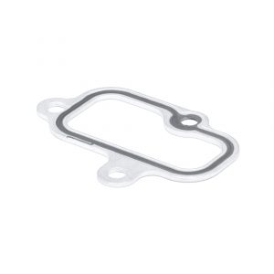 Прокладка впускного коллектора