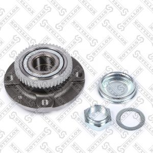 Ступица задняя