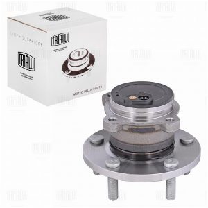 Ступица задняя