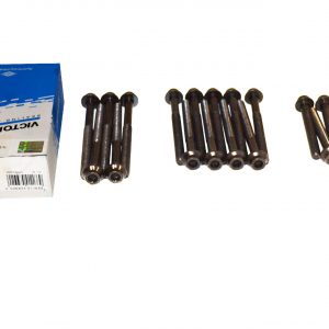 Болты головки блока к-кт