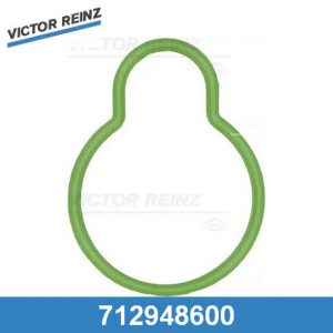 Прокладка впускного коллектора