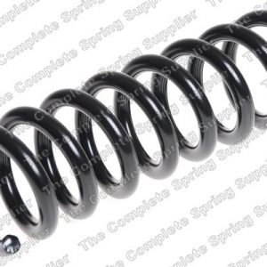 Пружина задняя