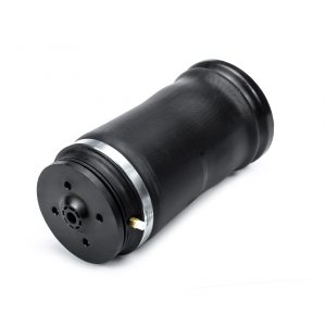 Воздушная подушка (опора пневматическая)