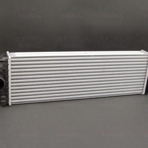 Интеркулер