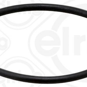 Кольцо уплотнительное (двигатель)