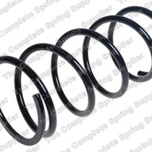 Пружина задняя