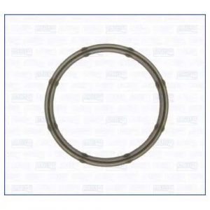 Прокладка впускного коллектора