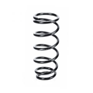 Пружина задняя