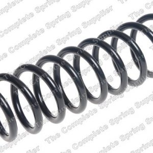 Пружина задняя